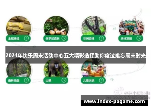 2024年快乐周末活动中心五大精彩选择助你度过难忘周末时光 2024年快乐周末活动中心五大精彩选择助你度过难忘周末时光