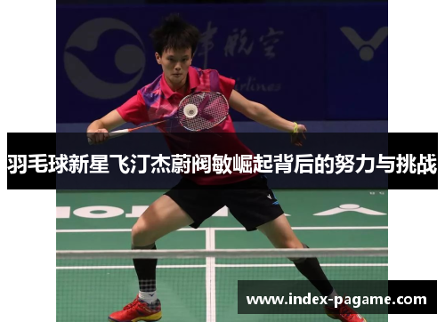 羽毛球新星飞汀杰蔚阀敏崛起背后的努力与挑战