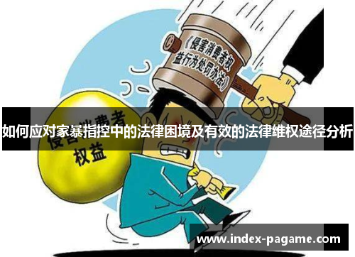 如何应对家暴指控中的法律困境及有效的法律维权途径分析