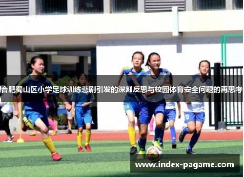合肥蜀山区小学足球训练悲剧引发的深刻反思与校园体育安全问题的再思考