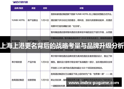 上海上港更名背后的战略考量与品牌升级分析