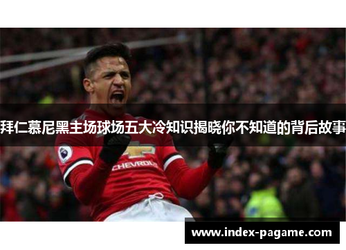 拜仁慕尼黑主场球场五大冷知识揭晓你不知道的背后故事