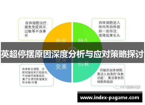 英超停摆原因深度分析与应对策略探讨 英超停摆原因深度分析与应对策略探讨